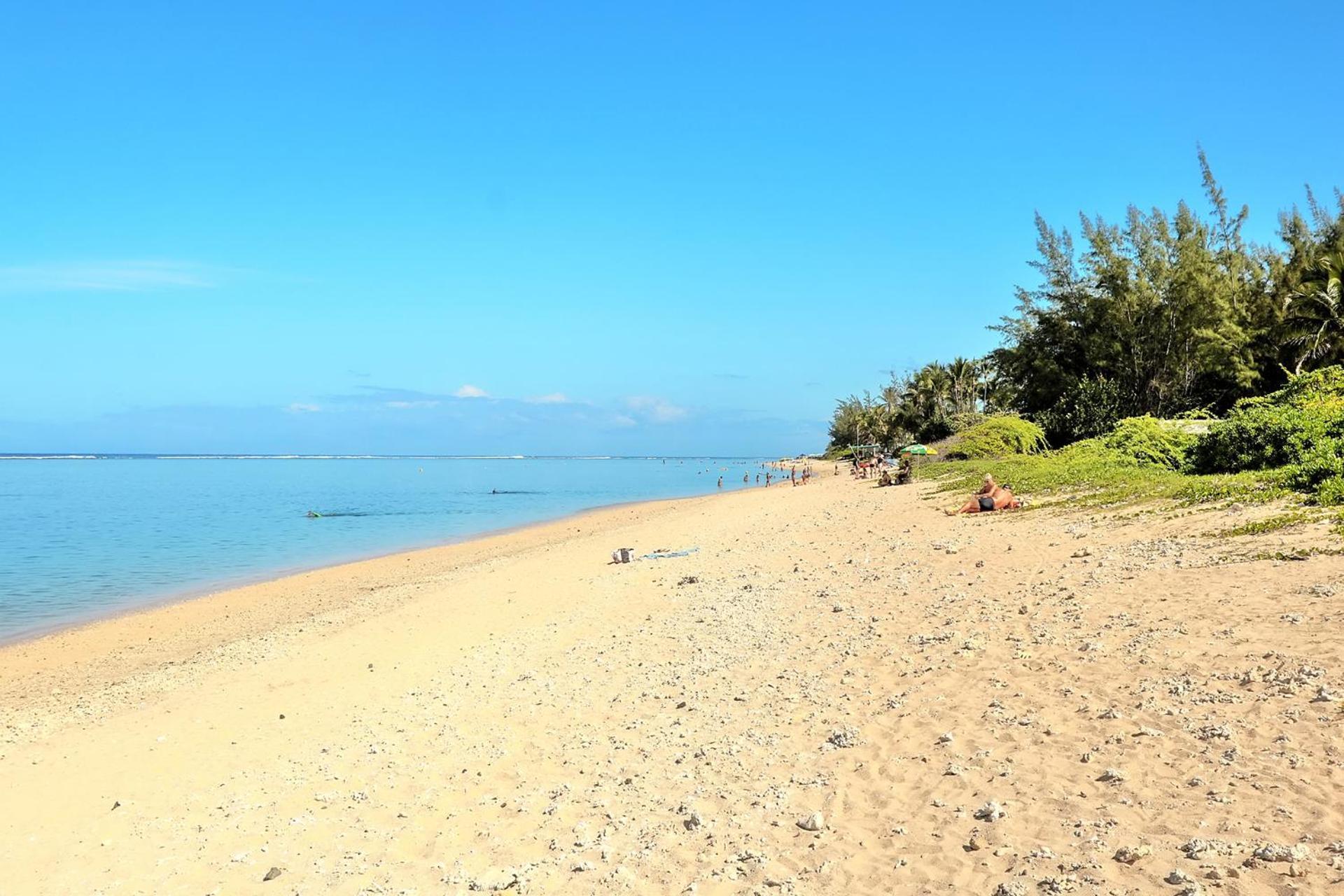 Exceptionnel ! Le Kazuarina, Tres Bel Apt F3 A 50M De La Plage De Ла-Салін-ле-Бен Екстер'єр фото